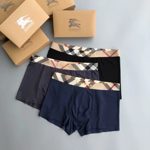 Burberry Boxer Briefs
