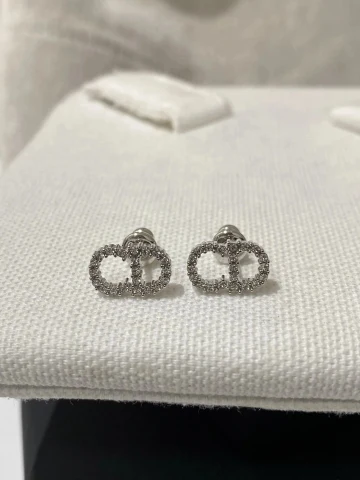 Dior Rose des Vents Stud Earrings