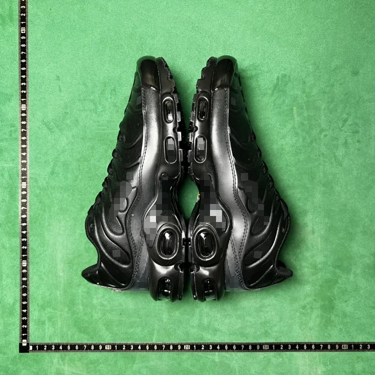 Nike Air Max Plus Sneakers