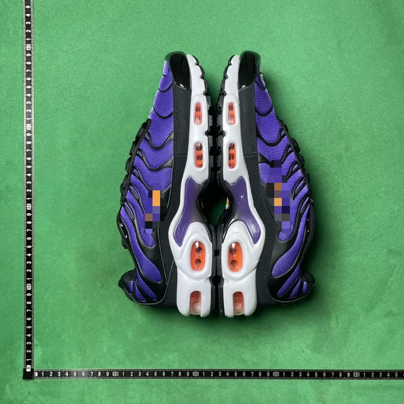 Nike Air Max Plus Running Shoes