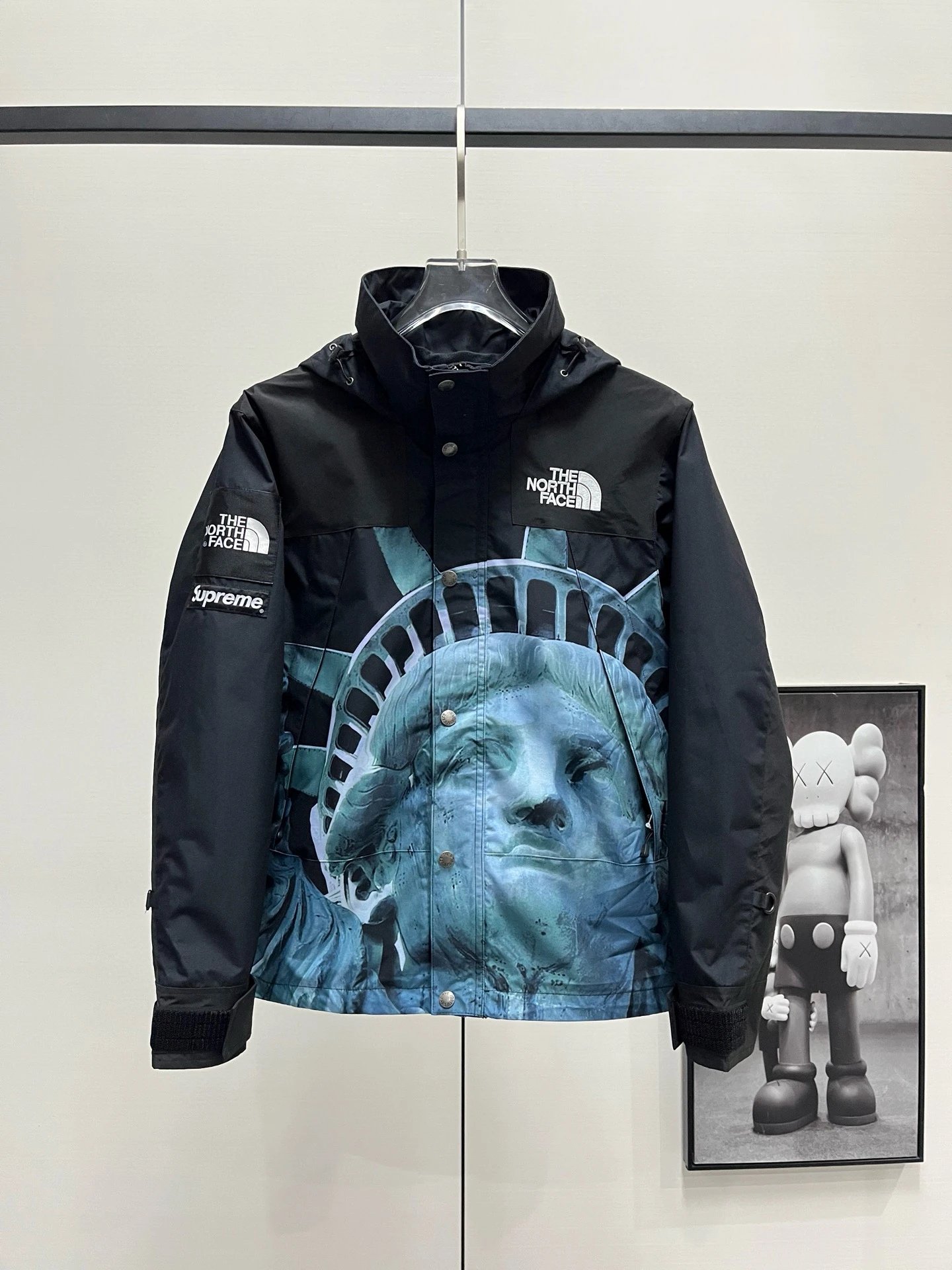 The North Face Summit Series Jacket